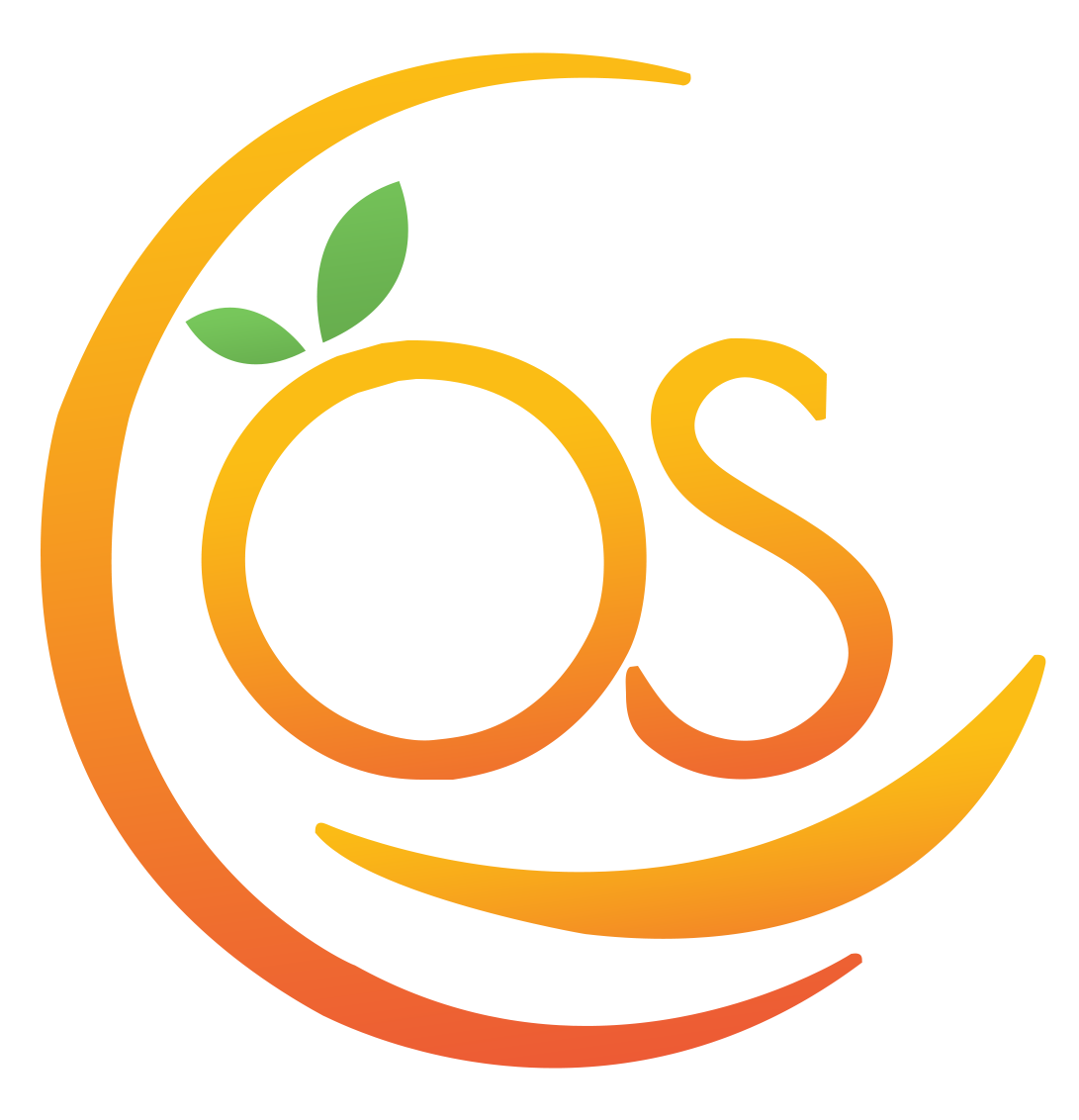 OrangeSkill Technologies